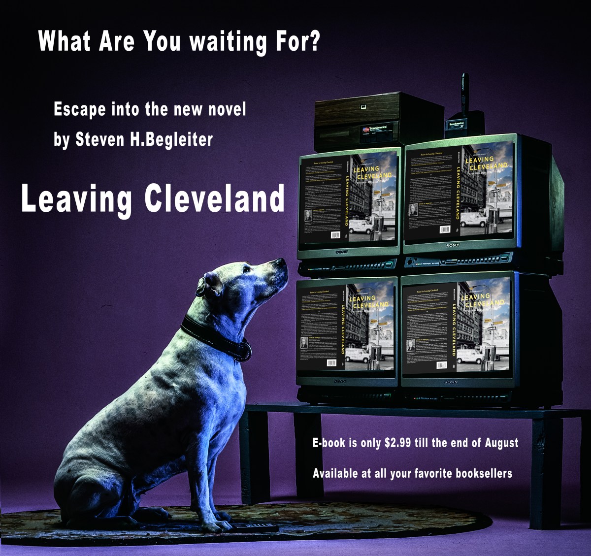 Leaving Cleveland has been submitted to compete for the Goldberg Award and final week to you purchase the book as an E-book for only&nbsp;$2.99